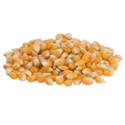 Popcornmaïs 1000 gram